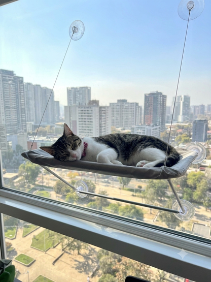 Hamaca Colgante para Gato con Ventosas - Cama de Ventana Todas las Estaciones