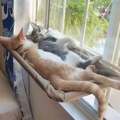 Hamaca colgante para gato en ventana con ventosas - PawDream