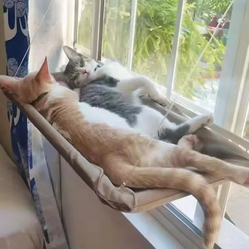 Hamaca colgante para gato en ventana con ventosas - PawDream