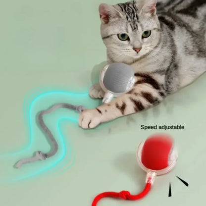 Pelota Interactiva Automática para Gatos