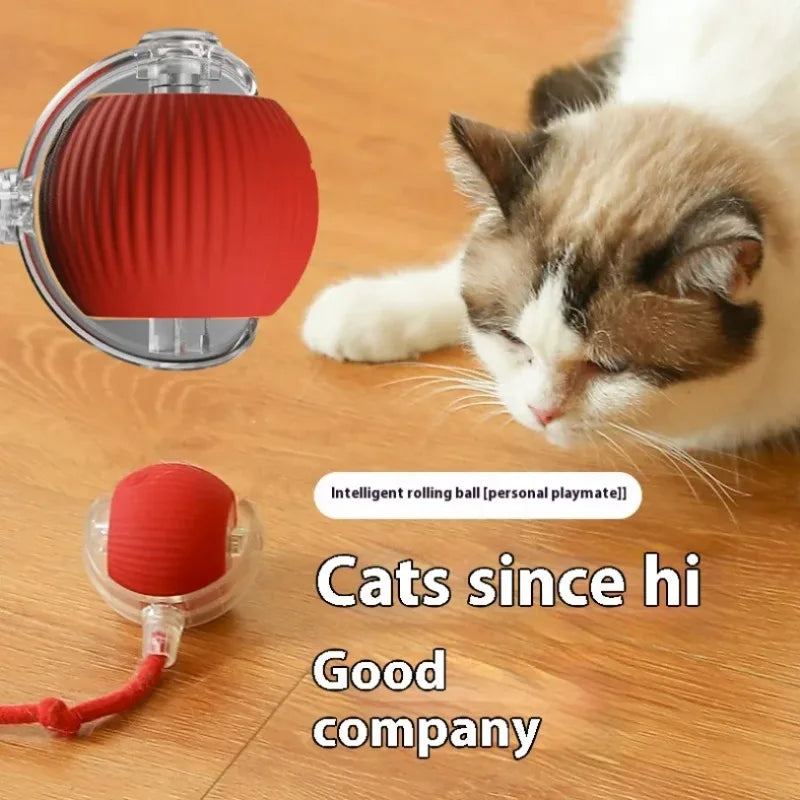 Pelota Interactiva Automática para Gatos