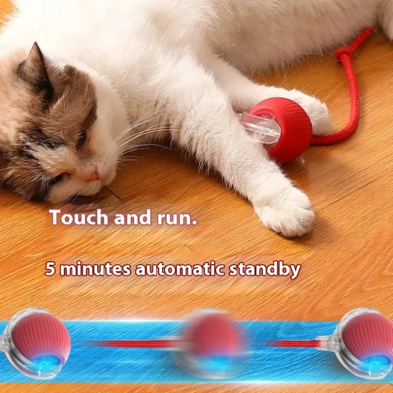 Pelota Interactiva Automática para Gatos